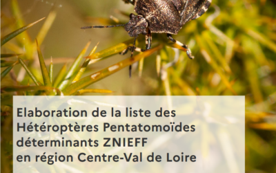 Punaises déterminantes pour la désignation de ZNIEFF en Centre-Val de Loire